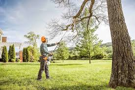 Richardson, TX Tree Care Company